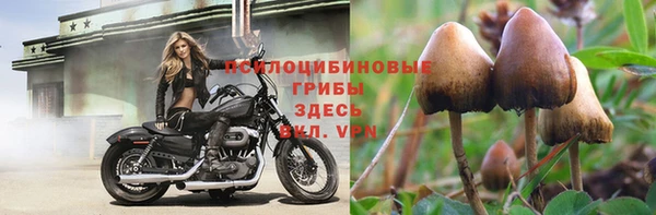 шишки Лабытнанги