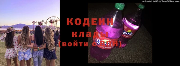индика Ладушкин