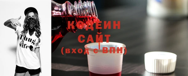 индика Ладушкин