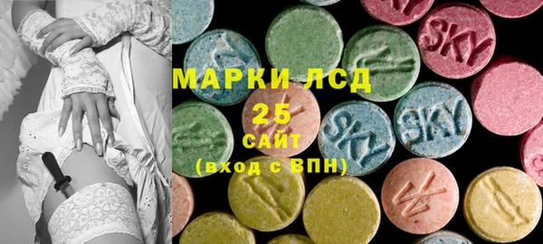 шишки Лабытнанги