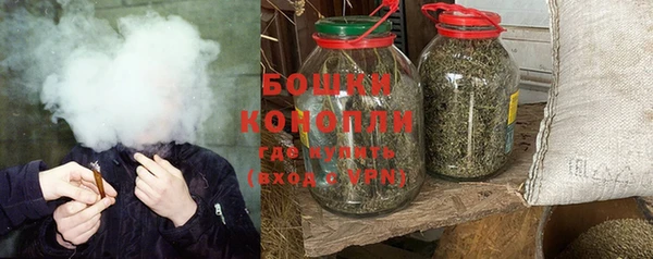 шишки Лабытнанги