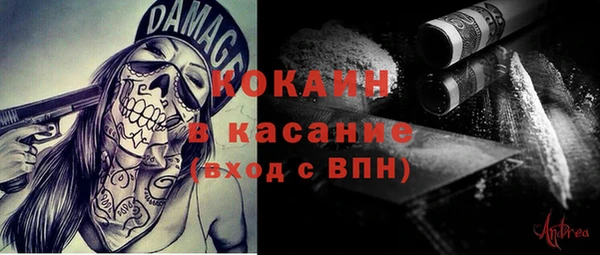 шишки Лабытнанги