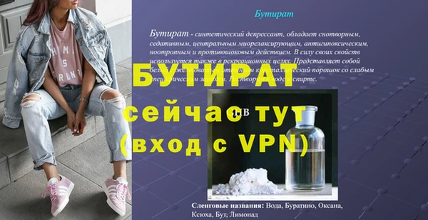 шишки Лабытнанги