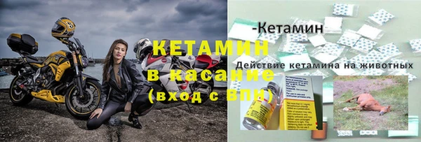 индика Ладушкин