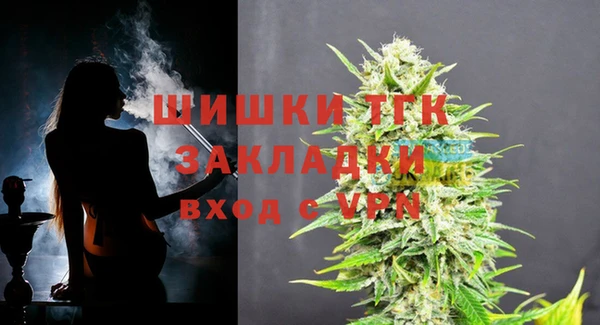 индика Ладушкин