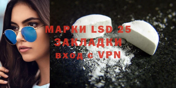 шишки Лабытнанги