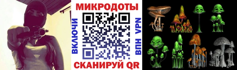 Псилоцибиновые грибы Psilocybine cubensis  Купить где  Лермонтов 